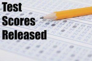 2019 Spring Assessment Scores