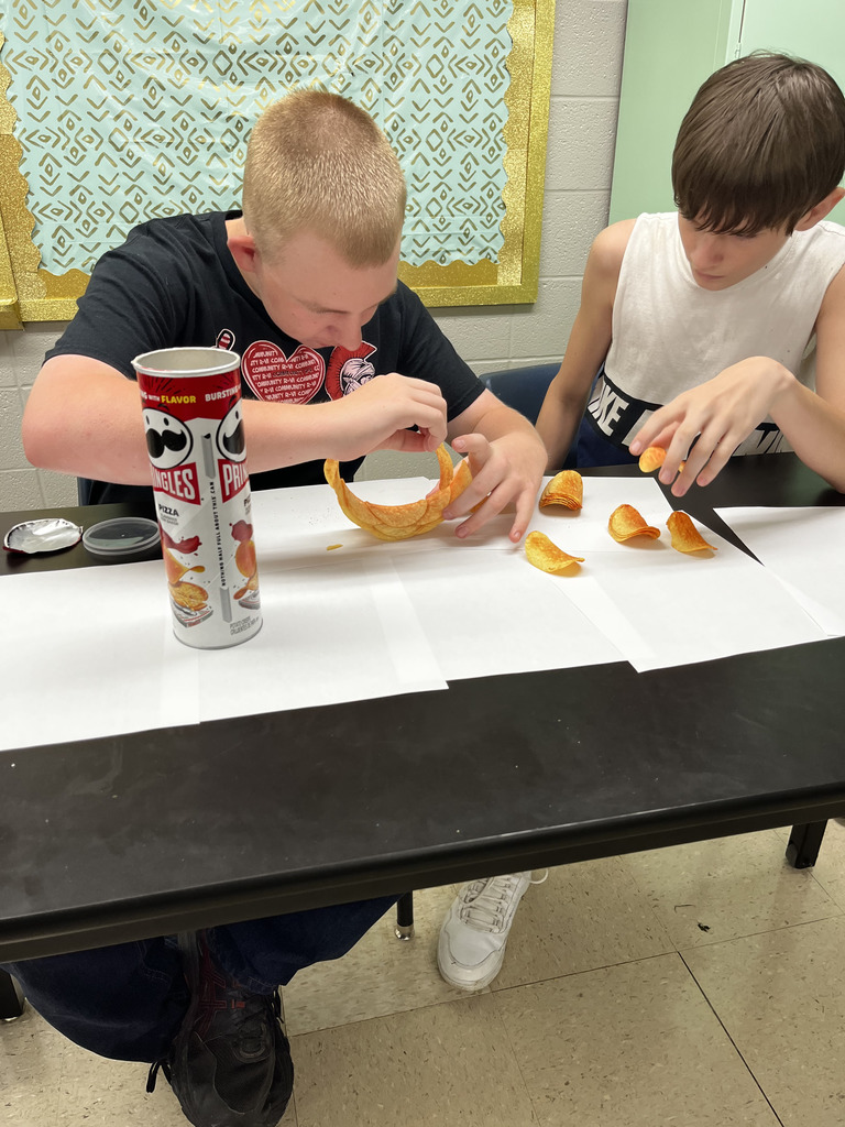 Mrs. Fennewald's 8th Grade Science classes put their engineering and physics skills to the test. They were challenged to build a freestanding ring using only Pringles chips.
