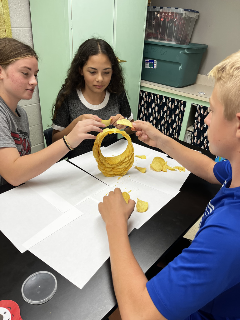 Mrs. Fennewald's 8th Grade Science classes put their engineering and physics skills to the test. They were challenged to build a freestanding ring using only Pringles chips. 